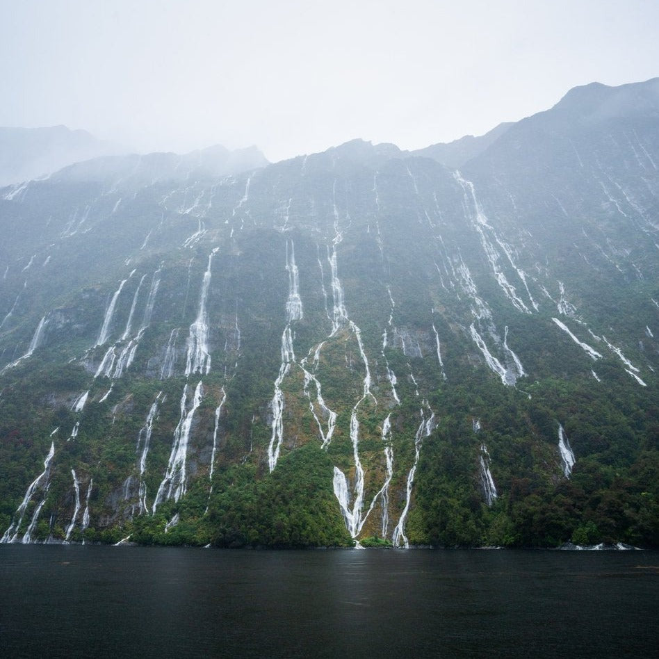 Milford Sound Cruise