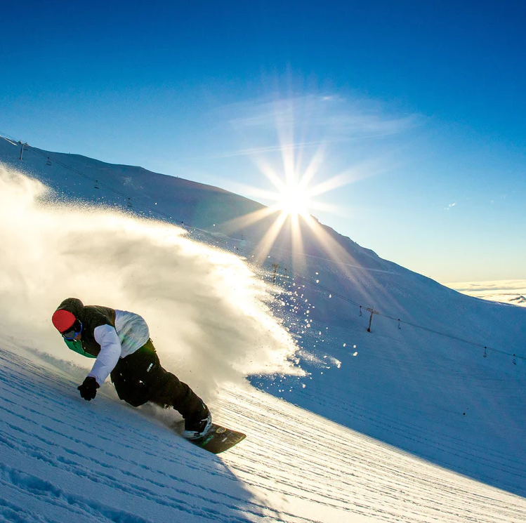 Alta Rentals