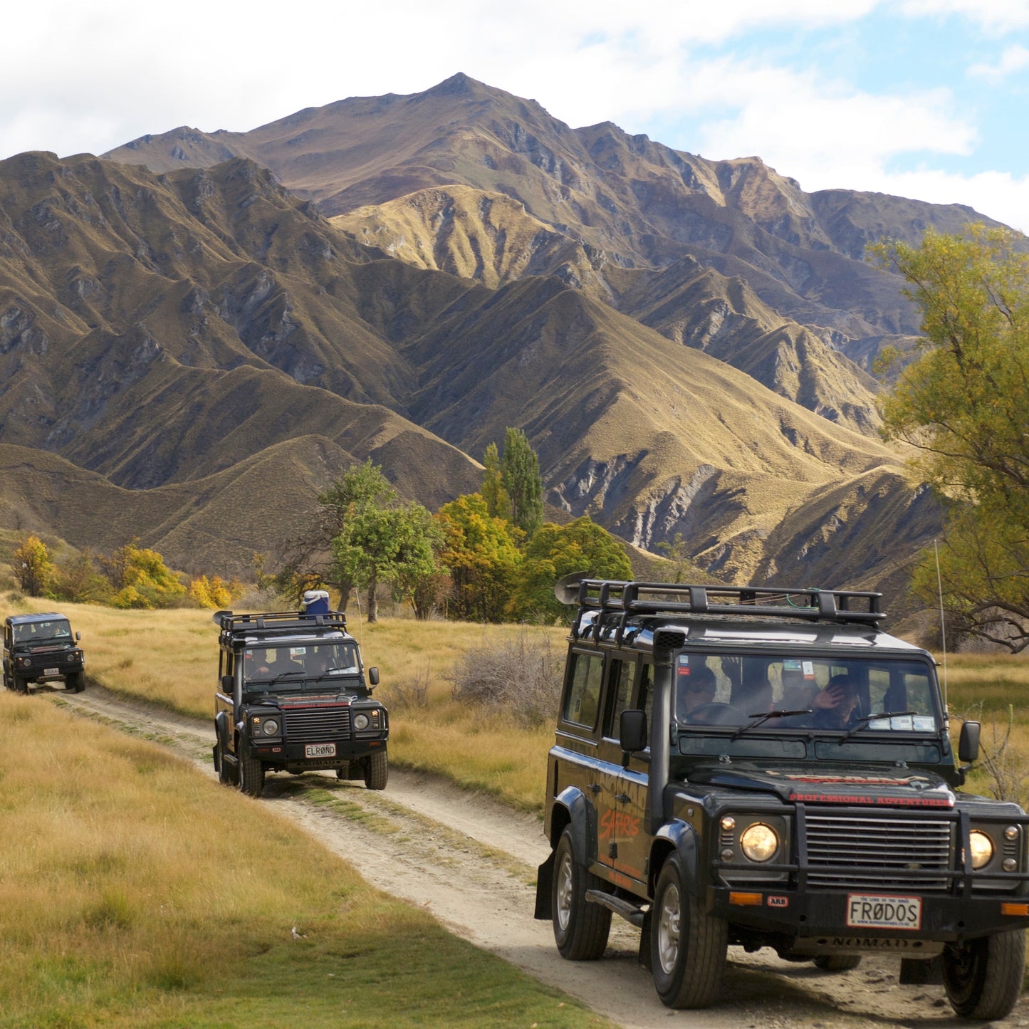 Nomad Safaris